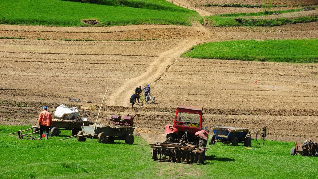 Фермеры Дубоссарского района сталкиваются с новыми ограничениями со стороны Тирасполя