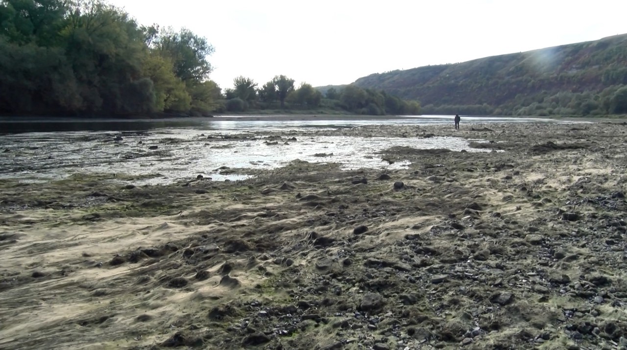 Râul Nistru, Naslavcea