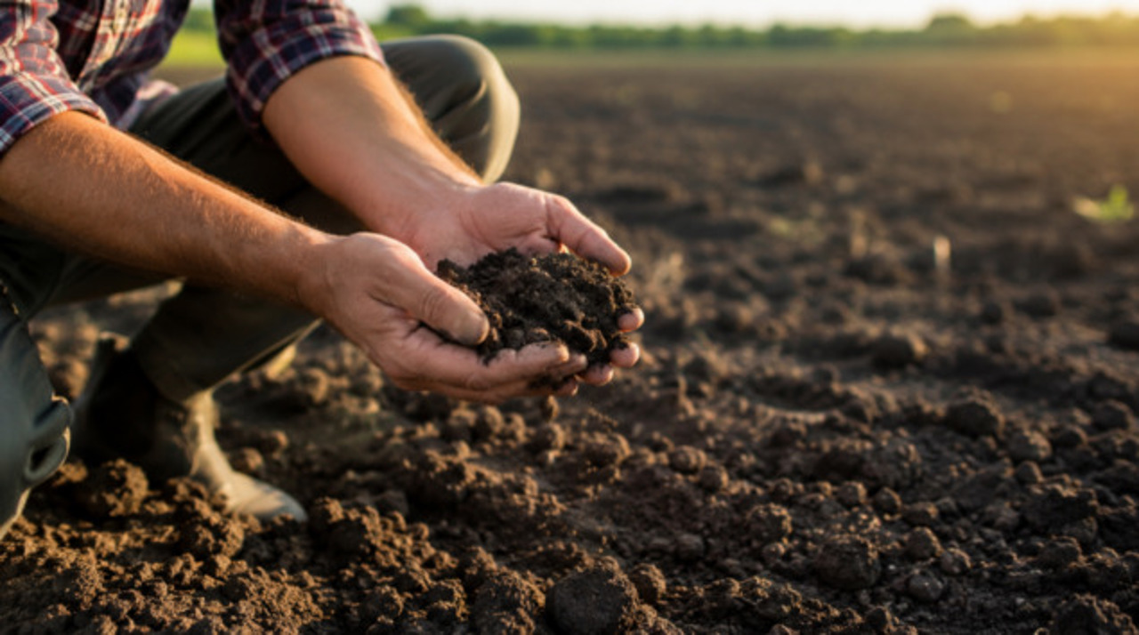 Bani pentru soluri mai fertile: Statul oferă până la 500.000 de lei pentru proiecte agricole