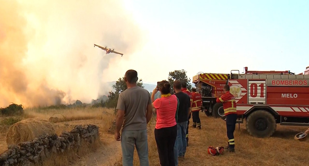 Val de căldură extremă și incendii de vegetație în Europa: România, Serbia și Germania, afectate de temperaturi record