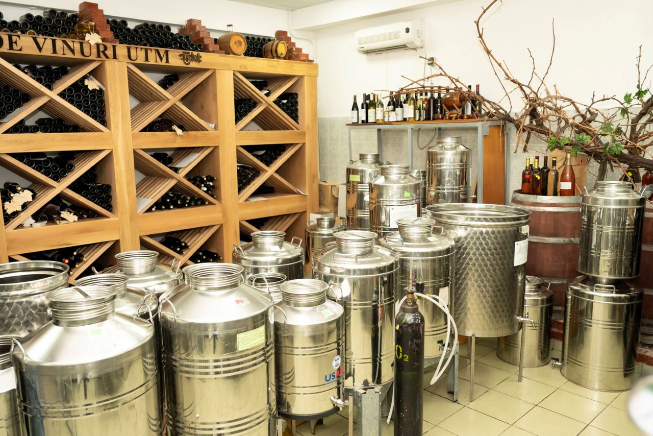 „Tainele” unui vin de calitate: UTM a deschis un centru de inovații vitivinicole