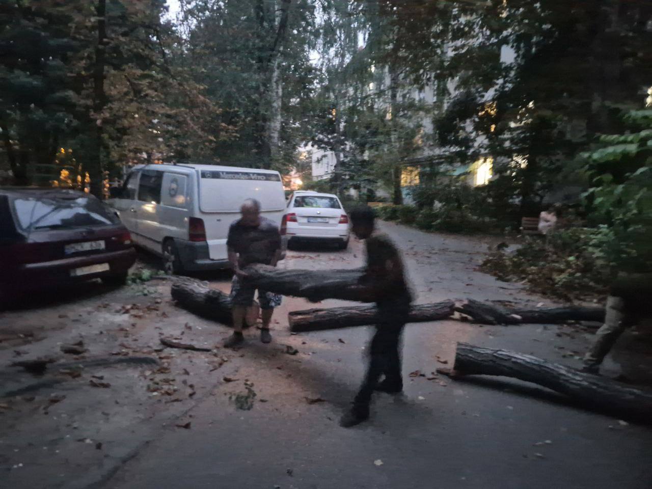 FOTO // Vântul puternic a doborât mai mulți copaci în Chișinău. Serviciile municipale au intervenit în teren