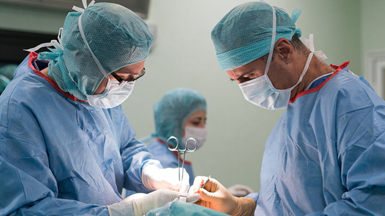 Moldova: 90 transplants in 2026, 12.5 million lei allocated