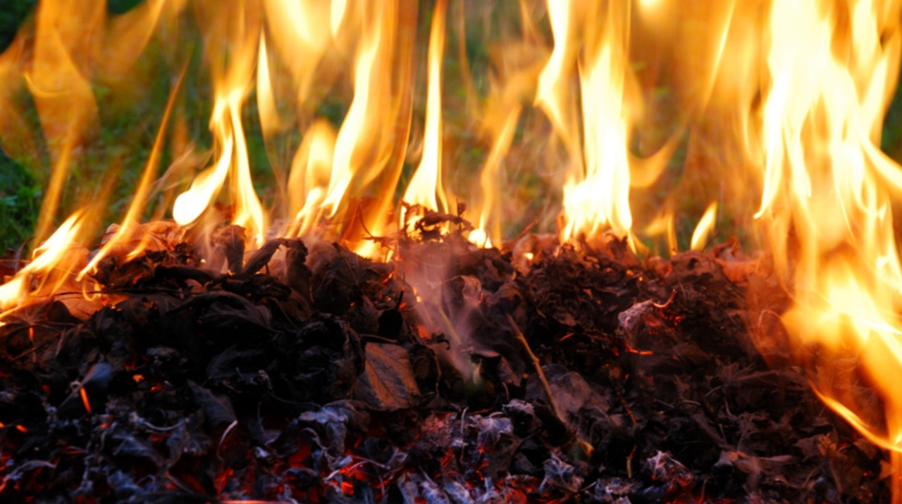 Burning leaves harms health and soil