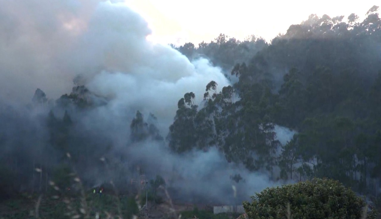 Arșiță în Spania și Portugalia: zeci de hectare de pădure au fost făcute scrum 