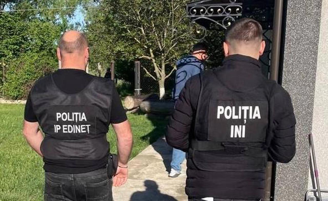 Copaci tăiați ilegal, iar lemnul - furat: Șapte persoane reținute în nordul țării