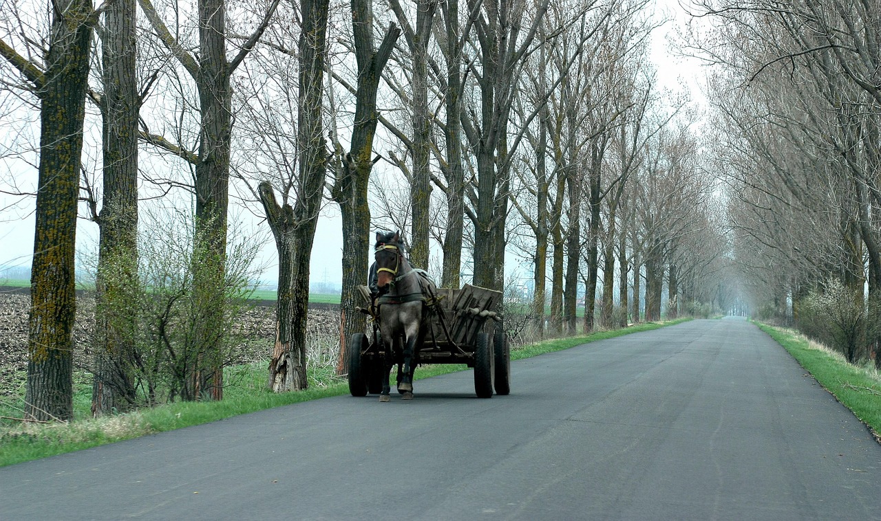 Omor în căruță: Și-a ucis în bătăi concubina și i-a aruncat trupul neînsuflețit la marginea satului