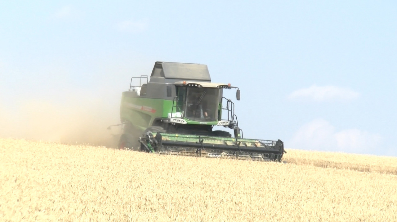  Wheat harvest begins in Moldova; farmers stay optimistic