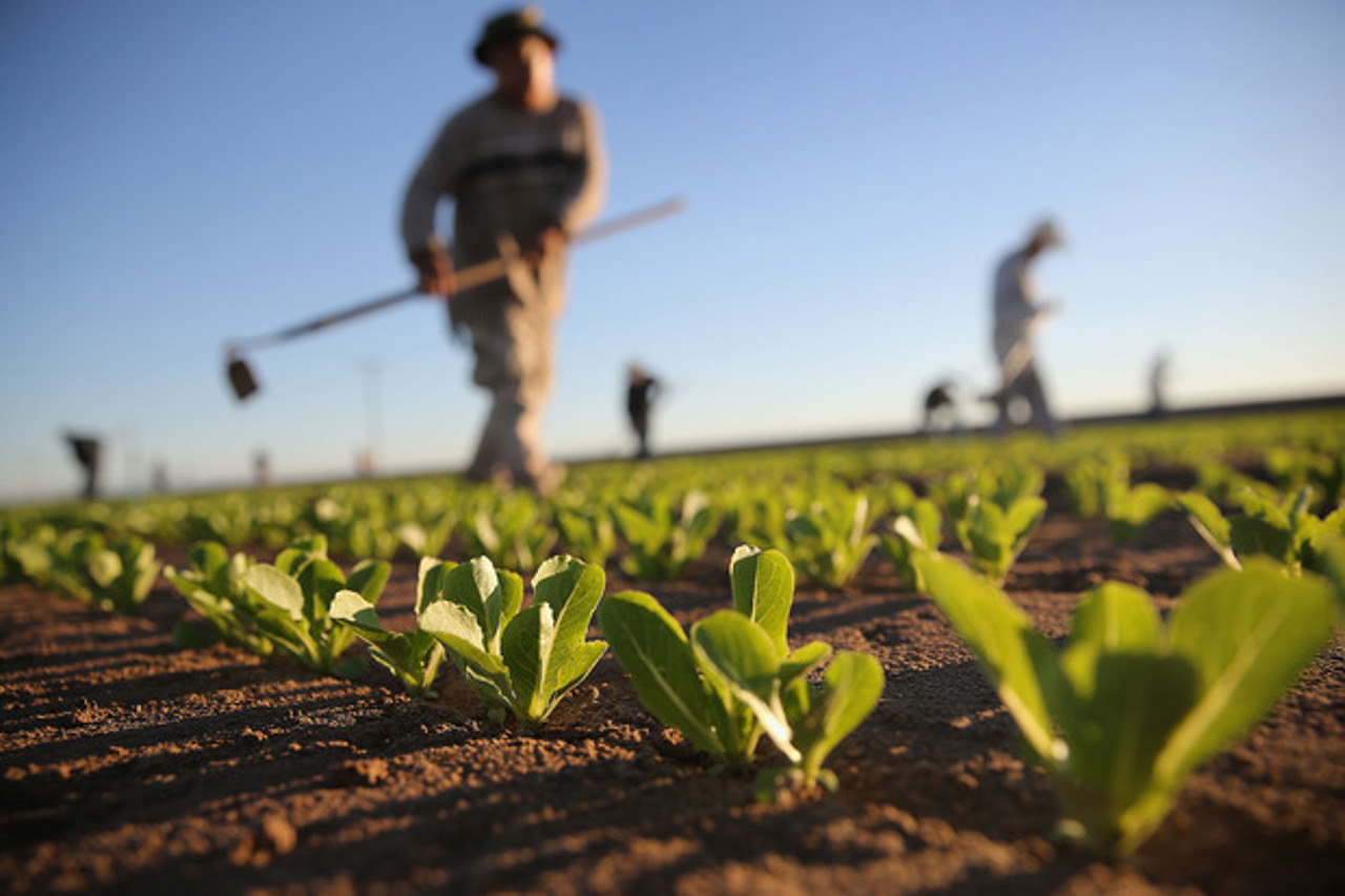 Partenerii de dezvoltare, dispuși să ofere sprijin producătorilor agricoli 