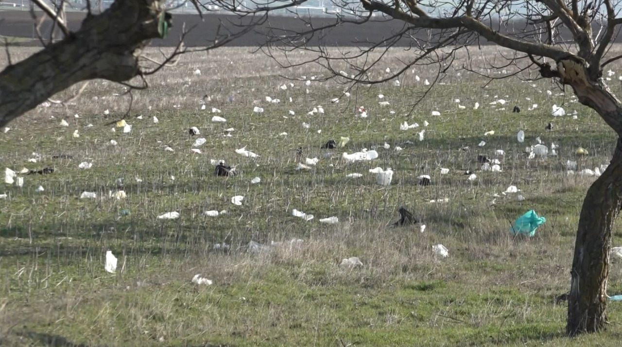 „Invazie de plastic” la Chirsova: Vântul împrăștie deșeurile pe terenuri agricole   