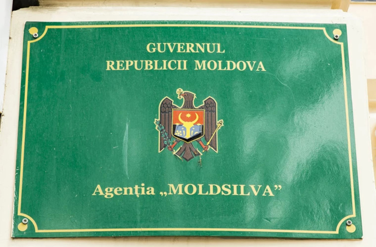 Valeriu Caisîn a demisionat din funcția de director al Agenției „Moldsilva”