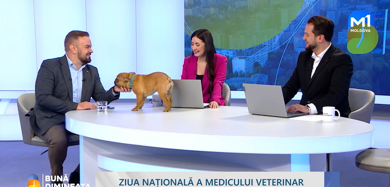 Medic veterinar: „Ce atitudine avem față de animale spune multe despre societatea în care trăim”