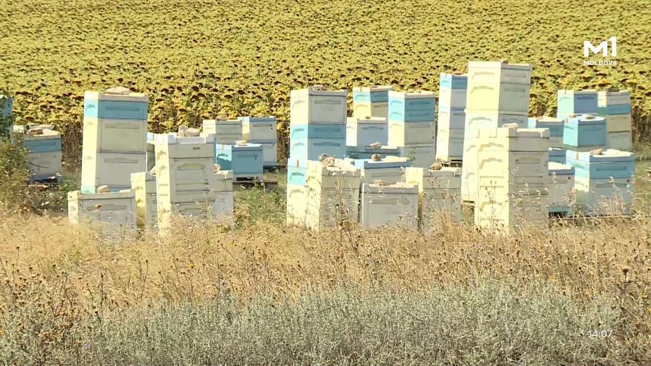 „Pământ și Oameni” din 31 august 2025