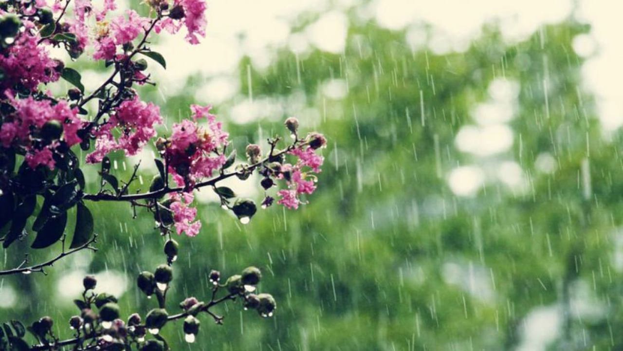Ploi cu grindină și vijelie până în seara zilei de 20 mai: Avertisment emis de meteorologi