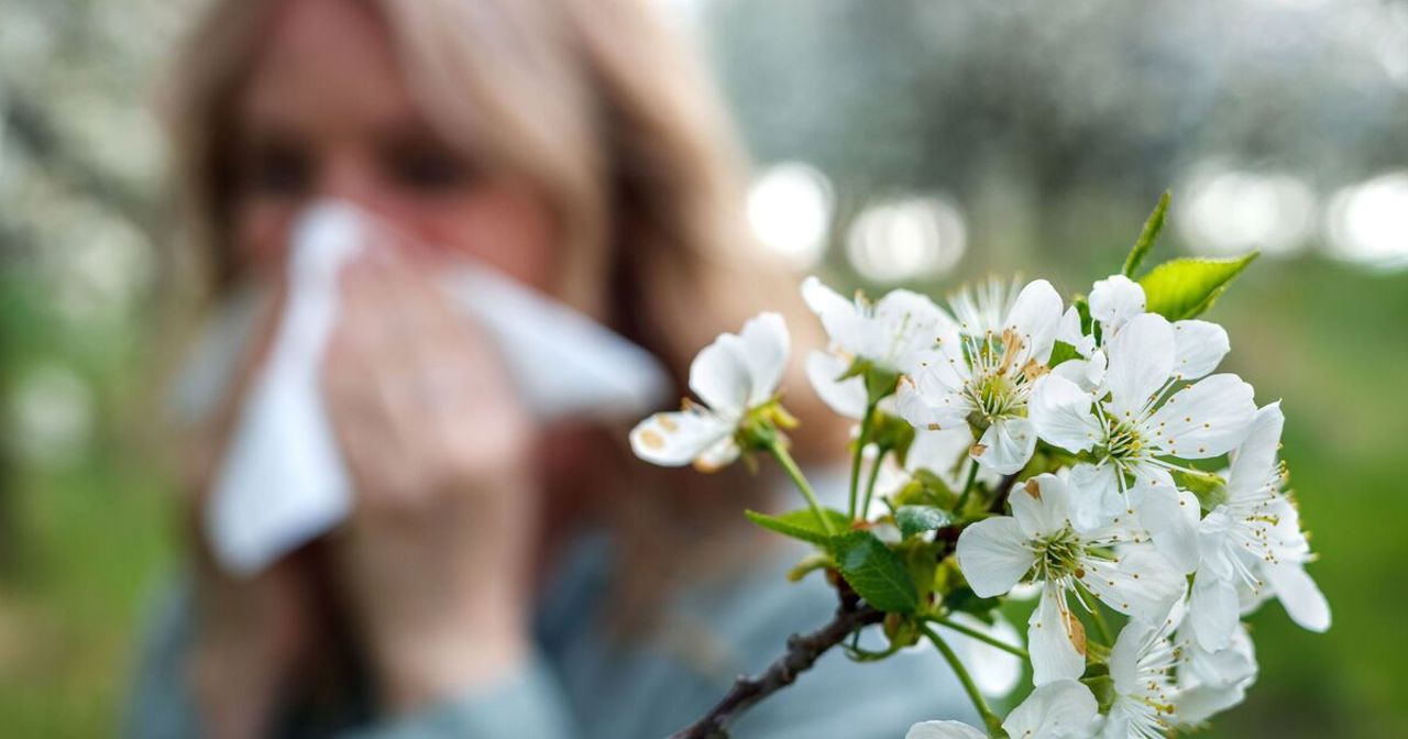 Alergiile de primăvară: Cum ne protejăm de rinita alergică în sezonul înfloririi