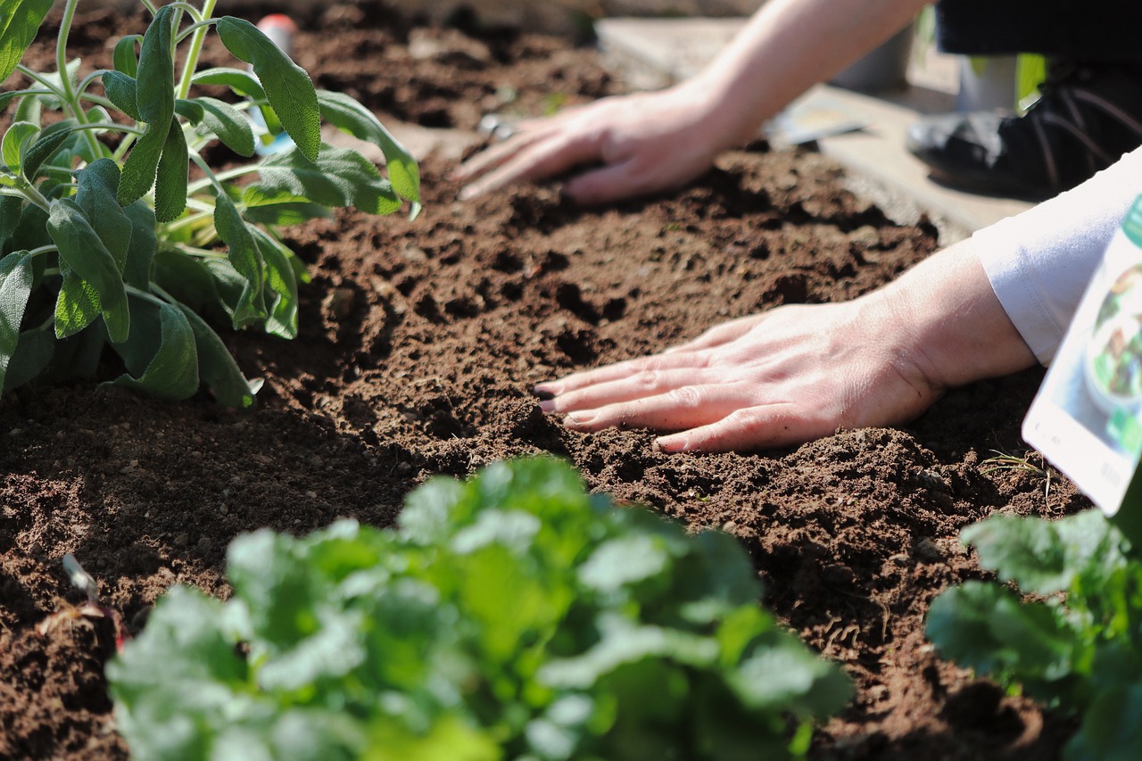 Ziua Mondială a Solului. Provocări și soluții pentru agricultura din Republica Moldova