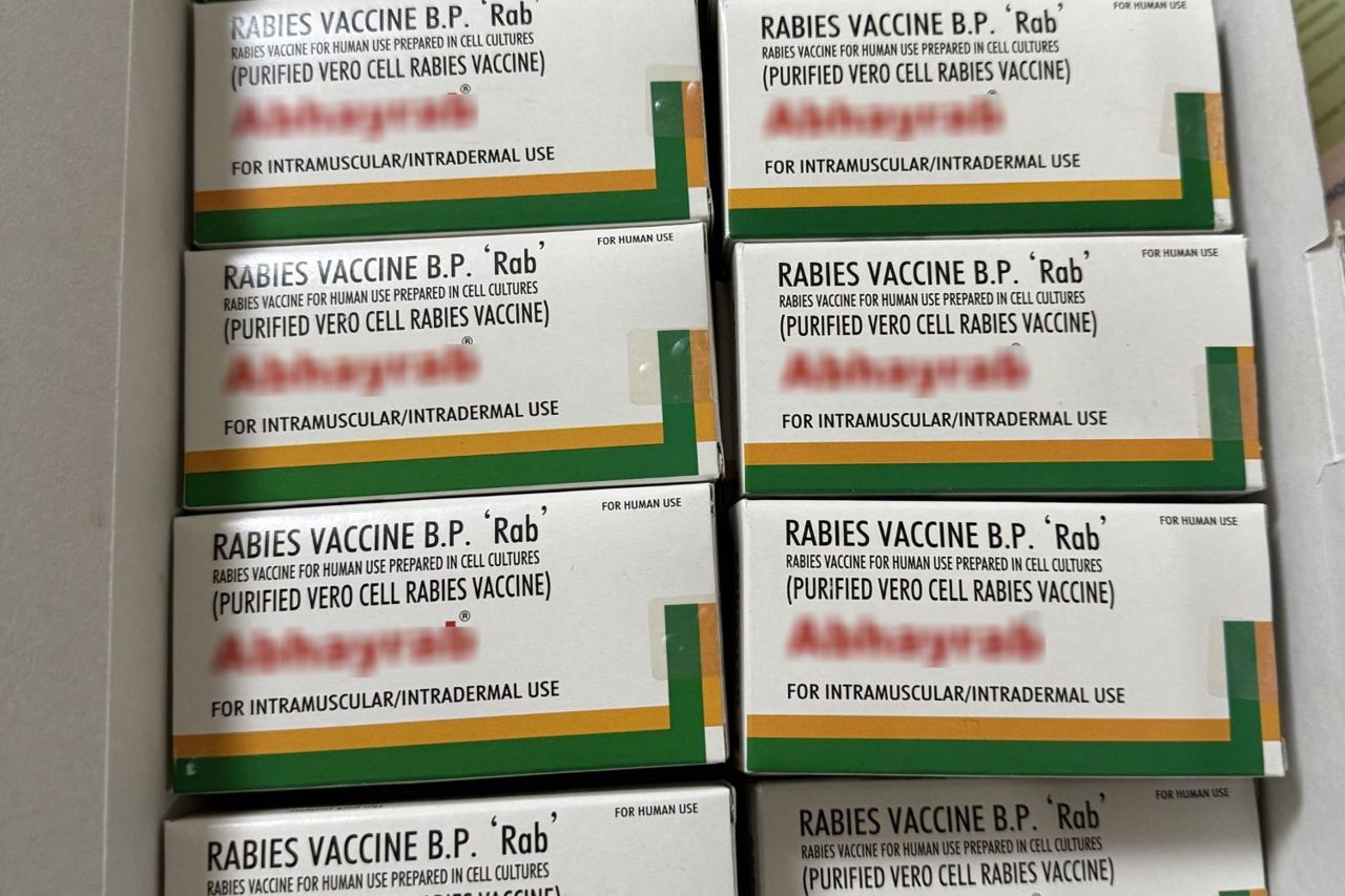 Last rabies vaccine batch of the year: 2,800 doses reach ANSP