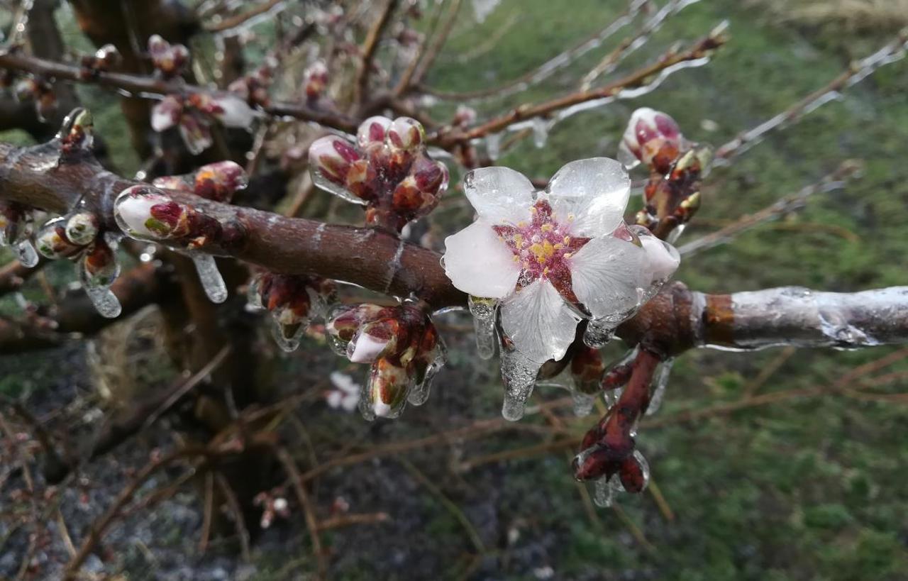 Fermier: Agricultura se află într-o stare deplorabilă. AIPA recunoaște că subvențiile sunt insuficiente, iar fondurile de preaderare ar fi o soluție