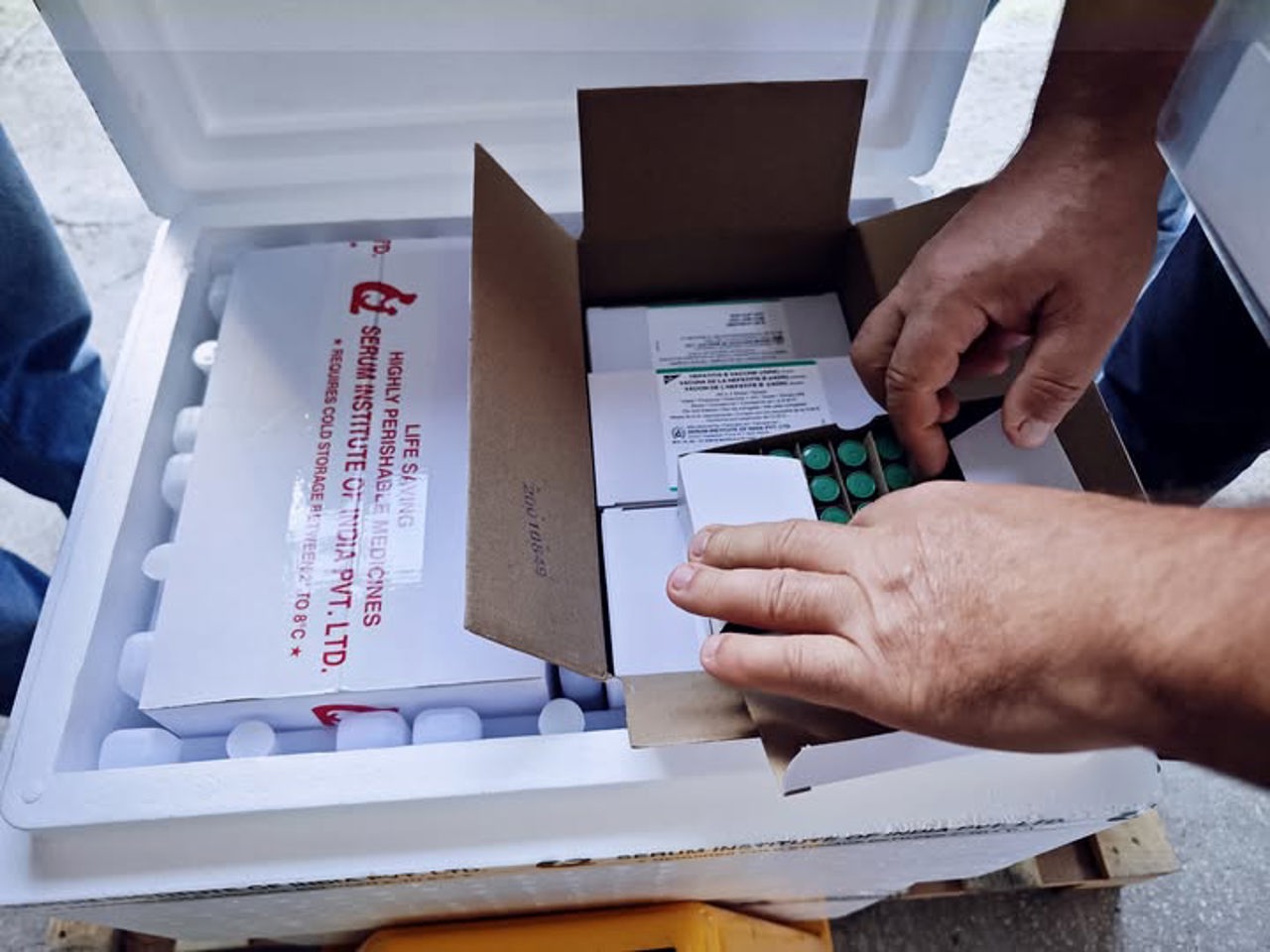 Moldova: Free hepatitis B vaccine for high-risk adults