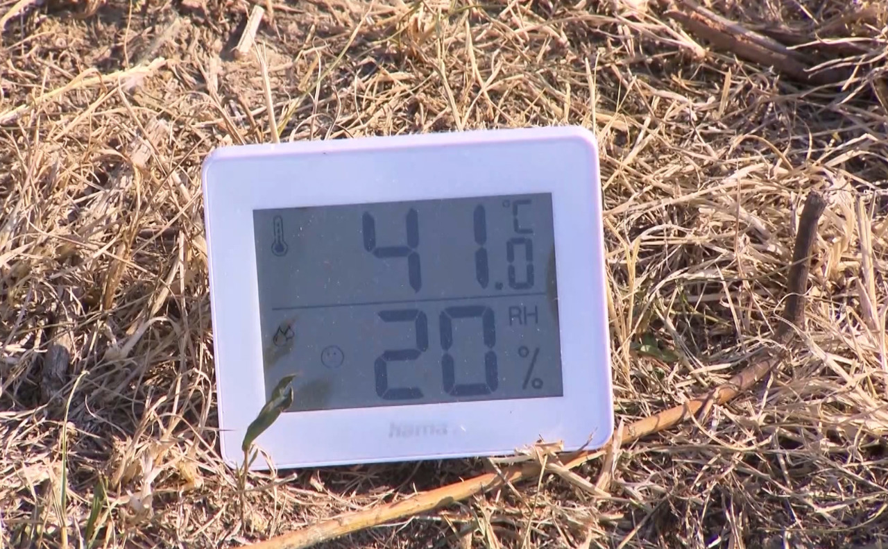 Cod roșu de căldură în mai multe țări europene. Austria și Spania înregistrează temperaturi record