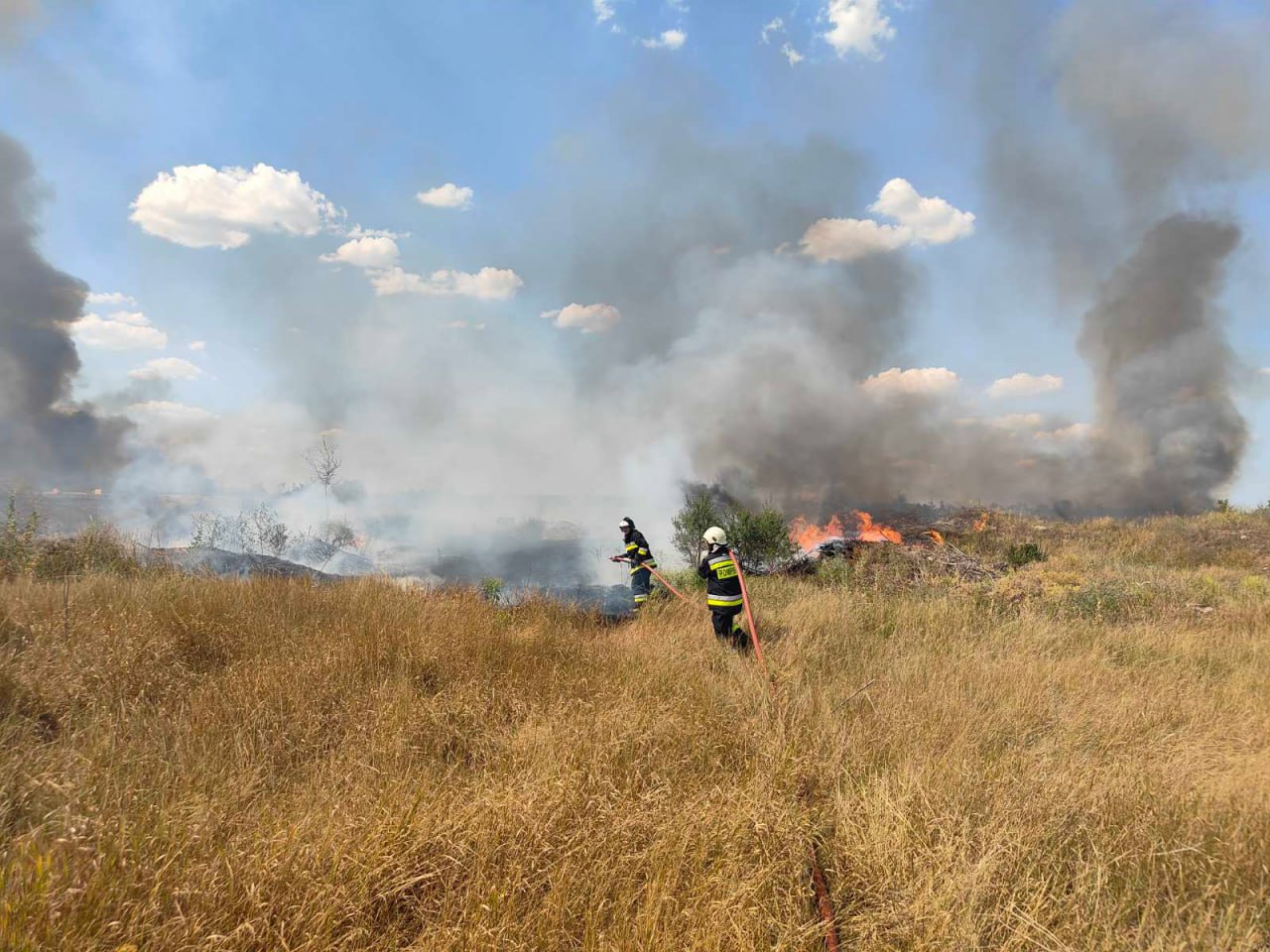 Peste 120 de hectare, afectate de flăcări: Pompierii, în alertă maximă