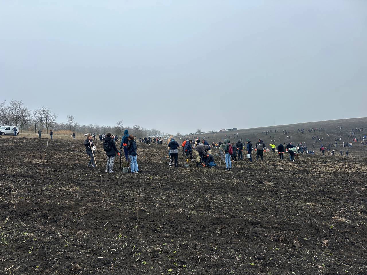 Moldova launches ambitious "Autumn 2025" reforestation campaign