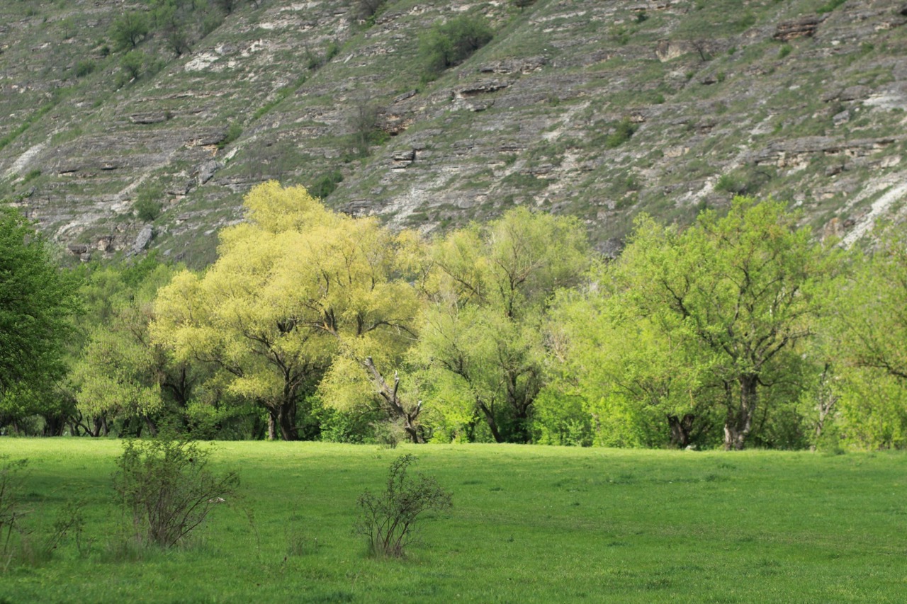 Ziua Mondială a Rezervațiilor Naturale | Ministerul Mediului: „Viitorul naturii depinde de fiecare dintre noi”