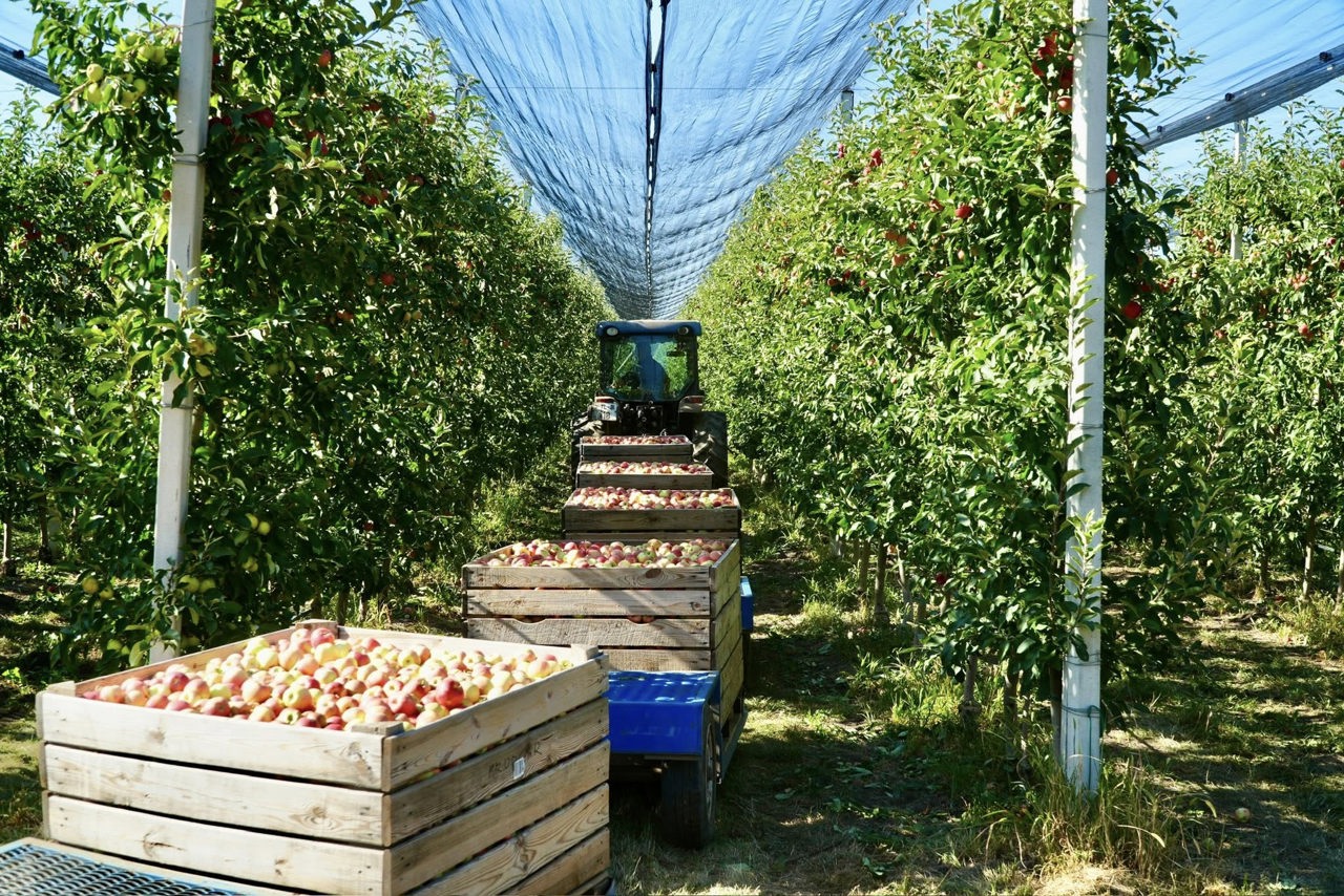 UE investește 3 milioane de euro în digitalizarea agriculturii și modernizarea serviciilor de ocupare a forței de muncă din R.  Moldova