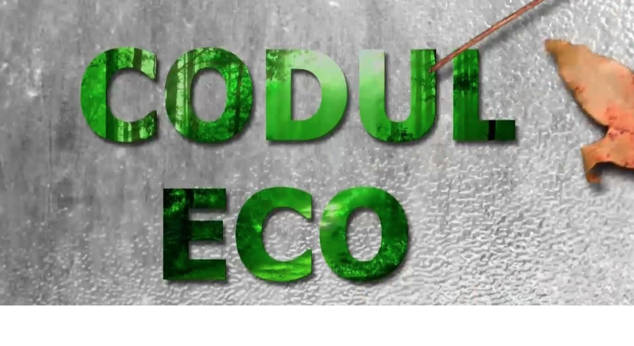 Codul Eco. Emisiune din 28 noiembrie 2022. Brichete de carton - Proces de fabricare 