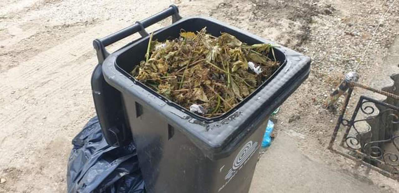 Controverse după inițiativa primarului Ion Ceban privind campania de salubrizare în școli și elevii premiați 