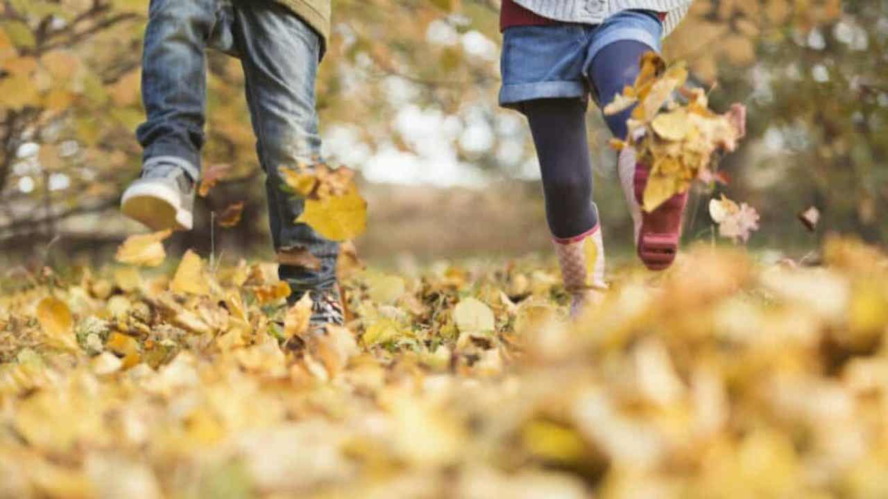 Vacanța de toamnă începe pe 24 octombrie. Când revin elevii la școală