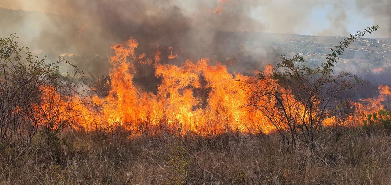 Canicula crește riscul incendiilor de vegetație. Amenzi de peste 500 de mii de lei pentru încălcarea regulilor de prevenire