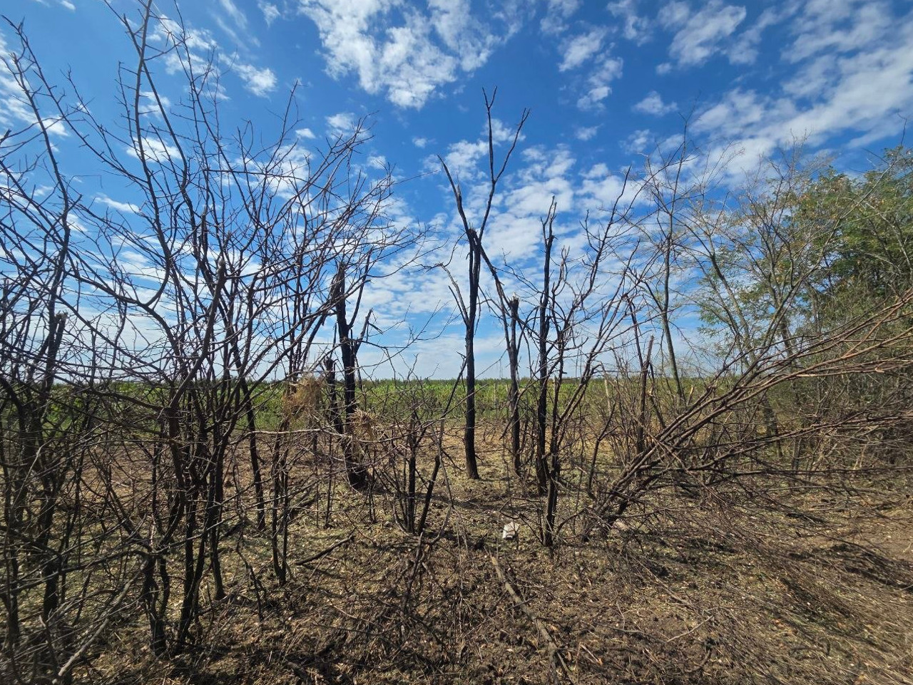 TRM