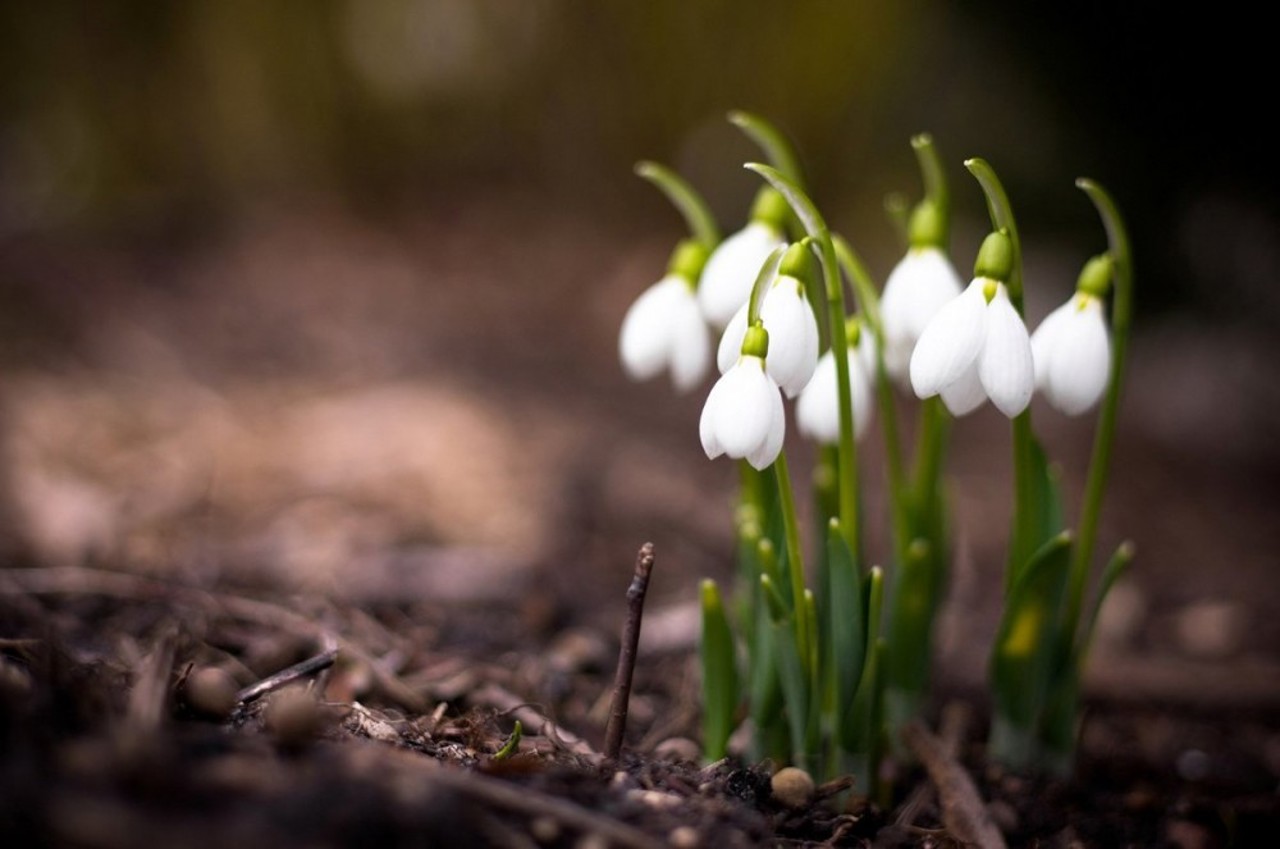 METEO // Cer variabil și temperaturi primăvăratice: cum va fi vremea, sâmbătă, 9 martie