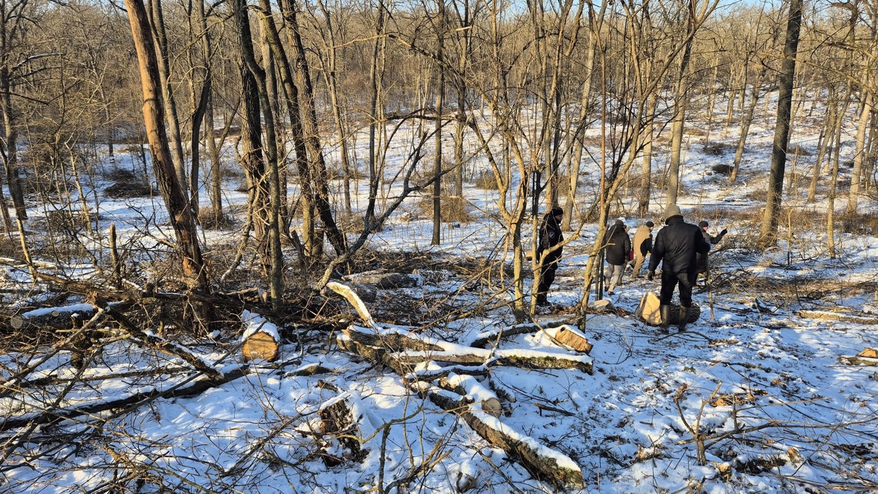 „Probabil, cel mai mare jaf descoperit într-un ocol silvic”: Peste 1.000 de arbori, tăiați ilegal la Ghidighici
