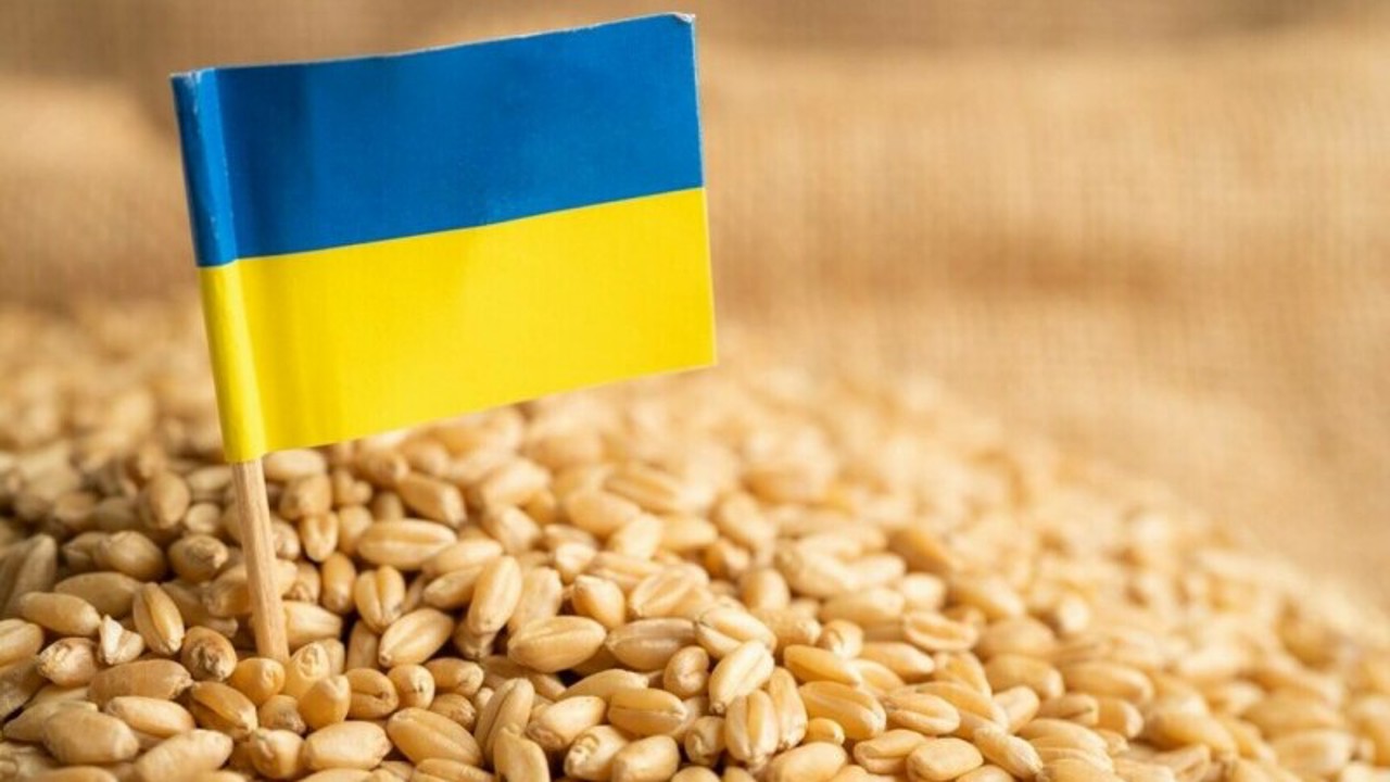 Пять соседей Украины могут запретить внутренние продажи украинского зерна после того, как Европейская комиссия расширила соответствующее постановление