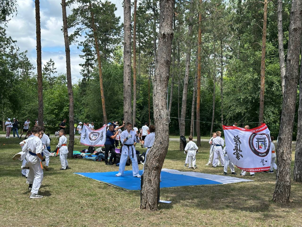 Sportul din R. Moldova trece pe model european: Cluburile și ligile profesioniste vor putea activa ca afaceri