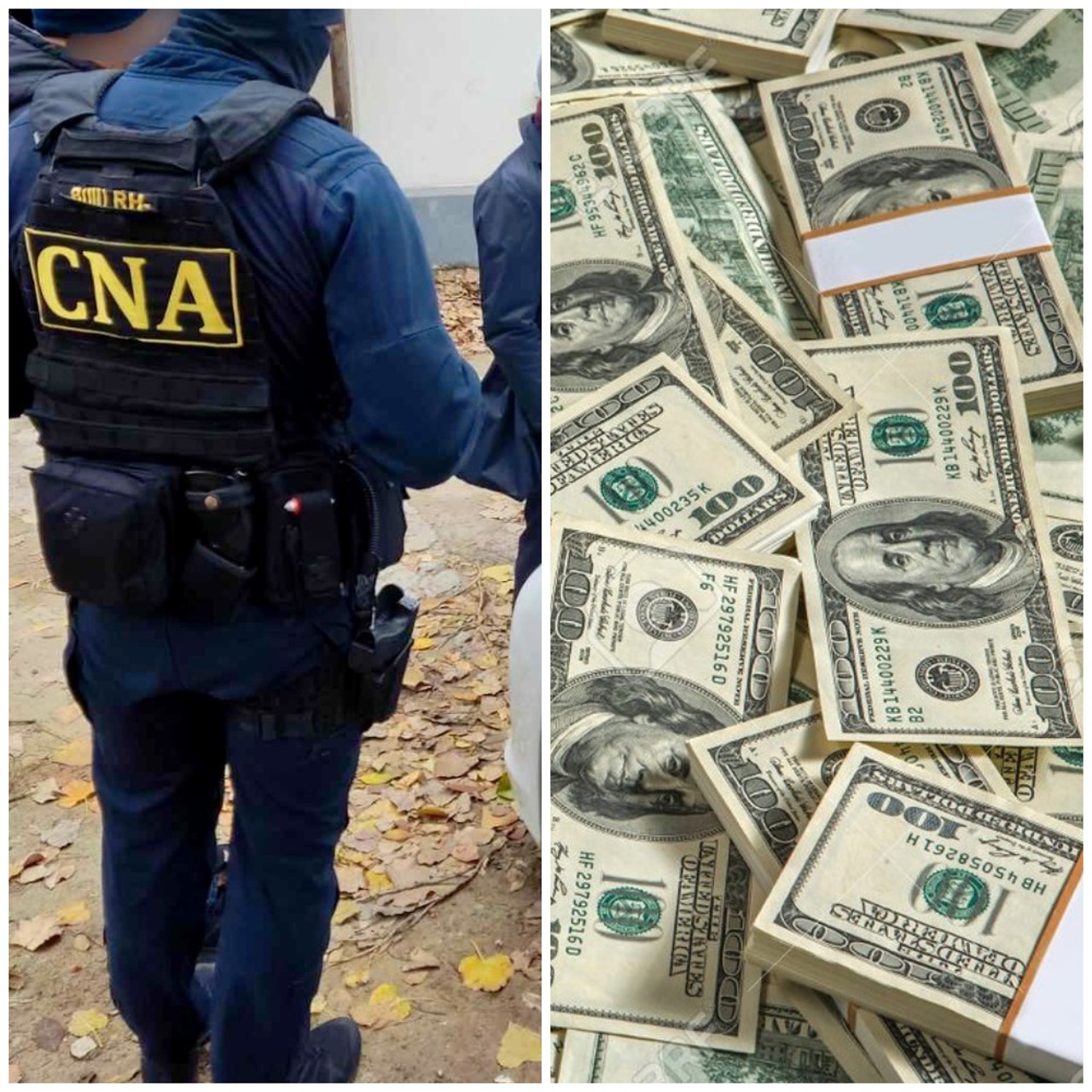 Bănuită că ar fi sustras din tezaurul unei sucursale bancare 135 de mii de dolari