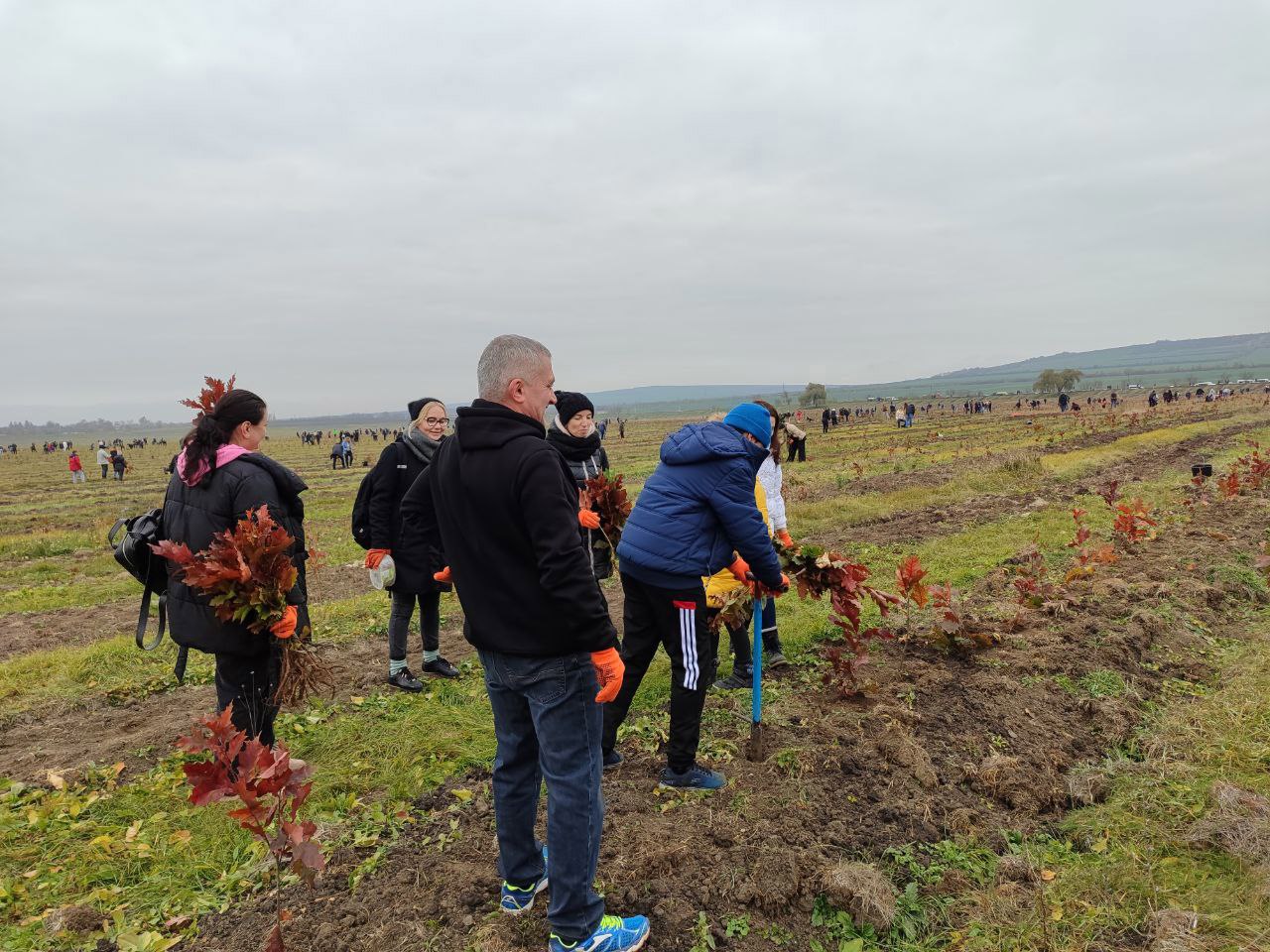 В Республике Молдова стартовала национальная кампания по облесению