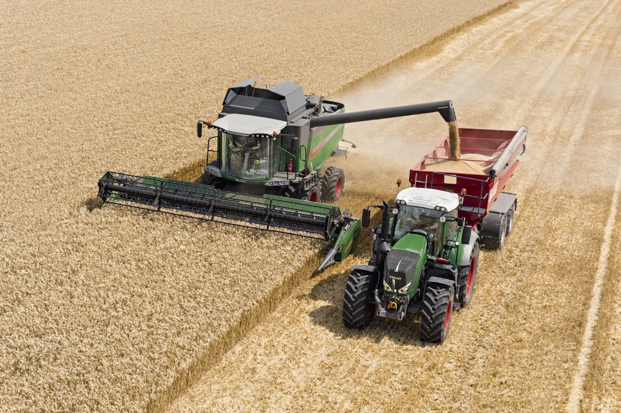 Комрат: На юге страны урожай зерновых ожидается на 30 процентов выше по сравнению с 2022 годом