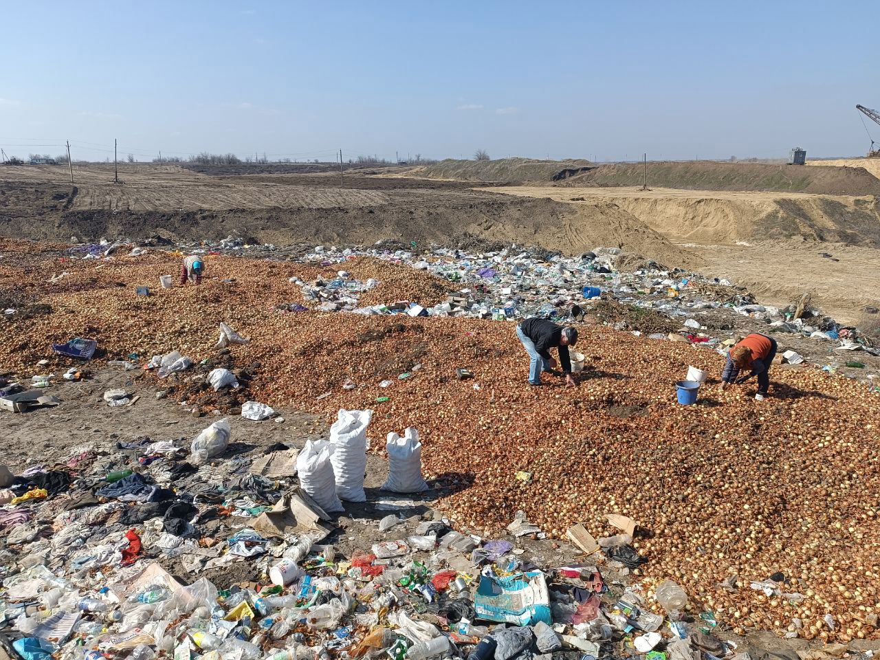Surplus produce dumped in Moldovan landfill as retail prices climb