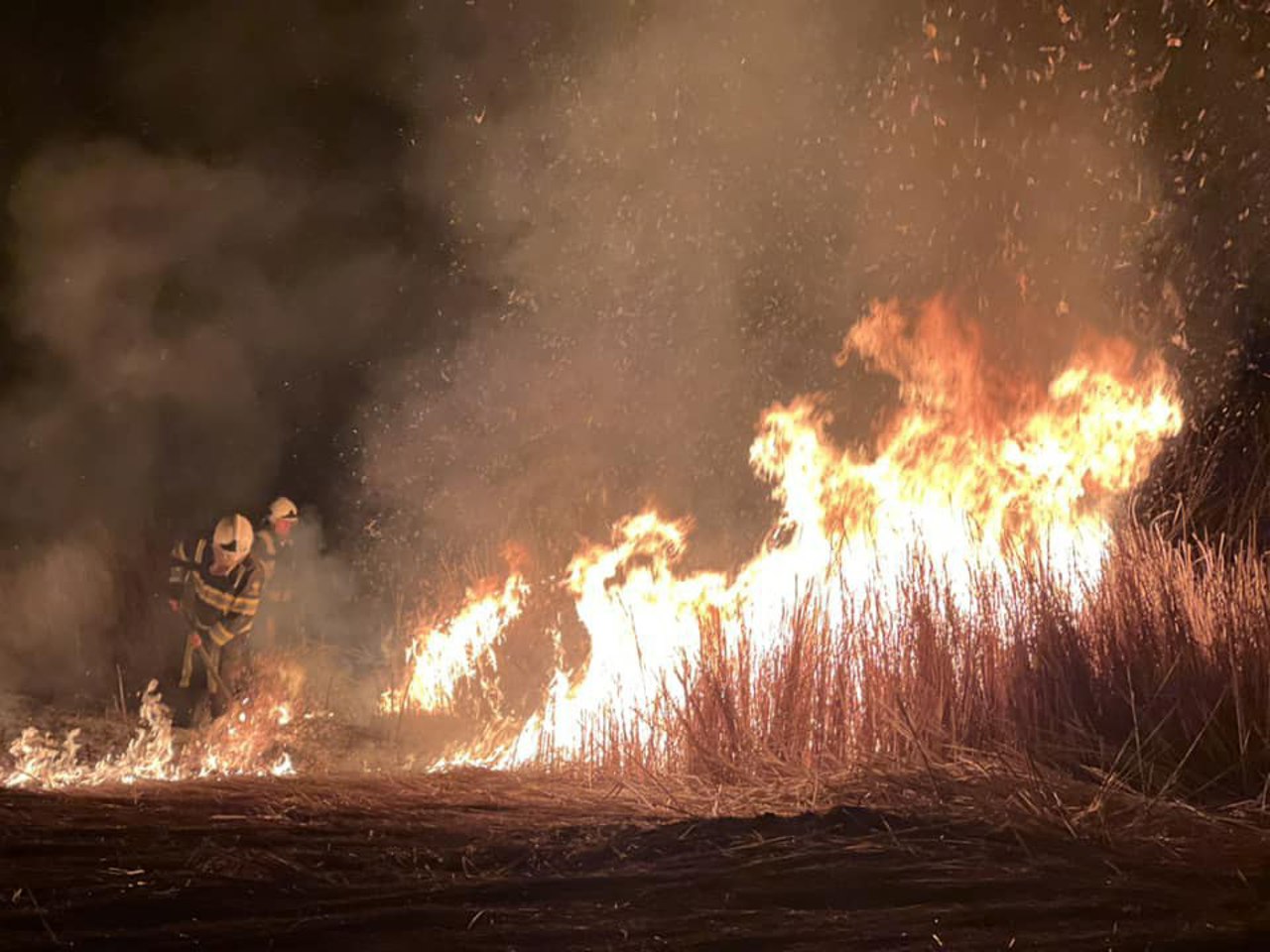 Incendii de vegetație în mai multe localități: Peste 70 ha de teren au fost mistuite de flăcări în ultimele 24 de ore