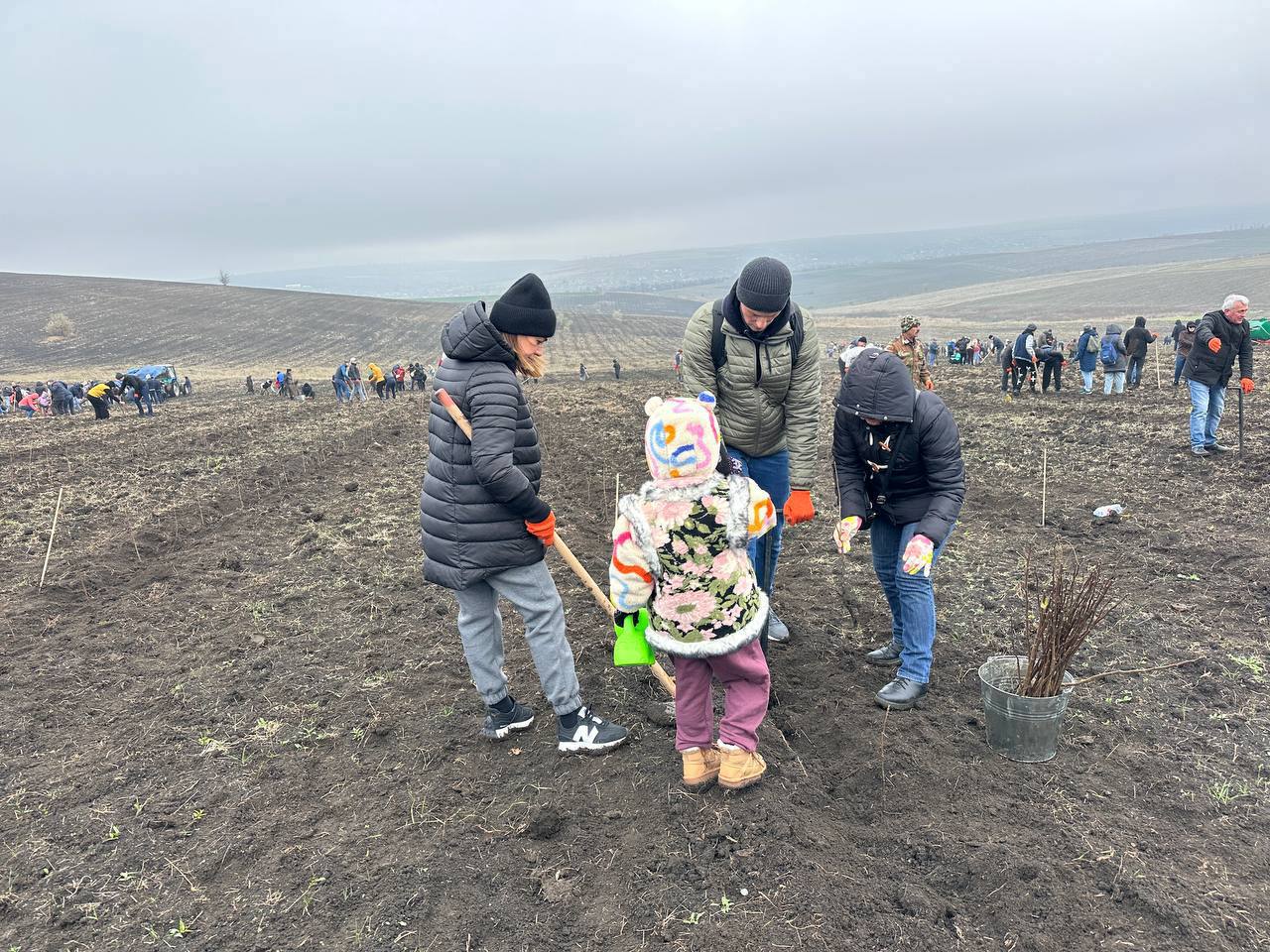 В Молдове стартовала кампания «Осень-2025»: высажено 110 тысяч деревьев