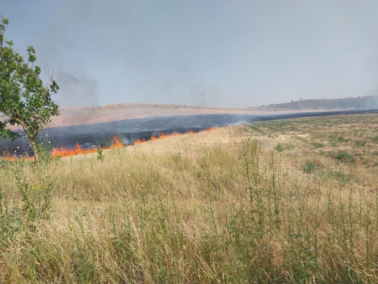Incendiu de vegetație la Comrat, extins pe 20 de hectare. Patru echipe de pompieri luptă cu flăcările 