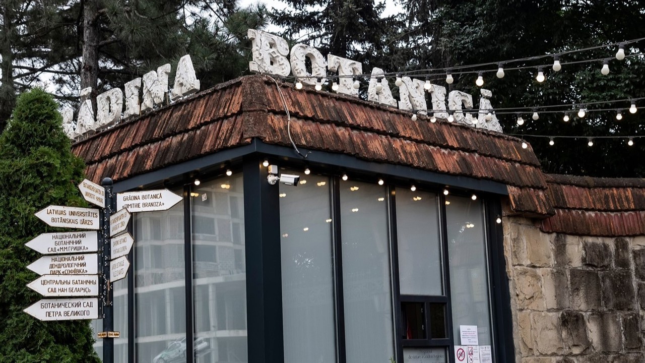 Аудит в Ботаническом саду: возможные потери достигли 10 млн леев