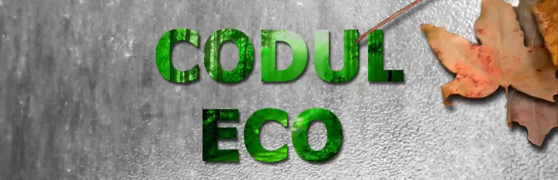 Codul Eco