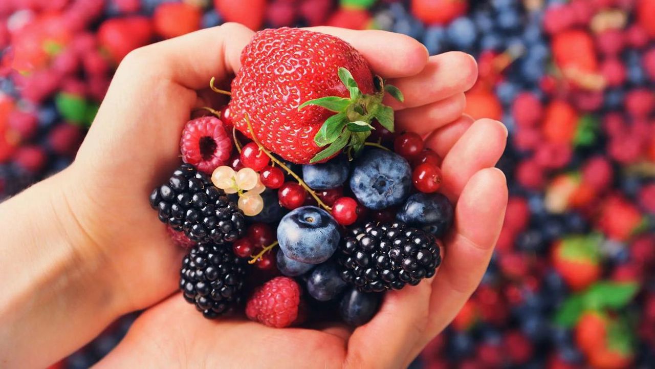 Moldovan berries dominate market—85% of consumption from local producers