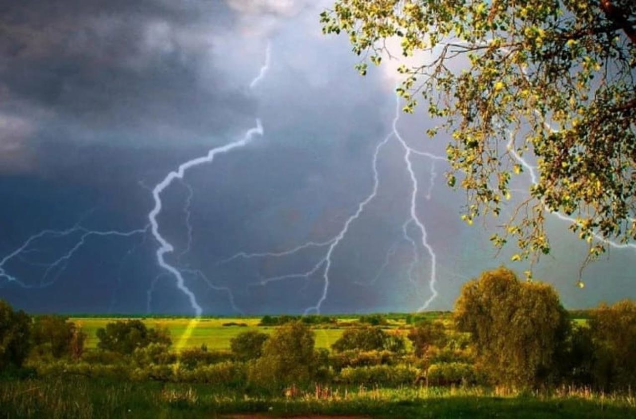 Дожди и порывистый ветер: синоптики объявили желтый код из-за нестабильной погоды