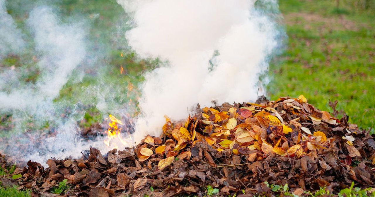 Amenzi usturătoare pentru arderea frunzelor. Care sunt alternativele