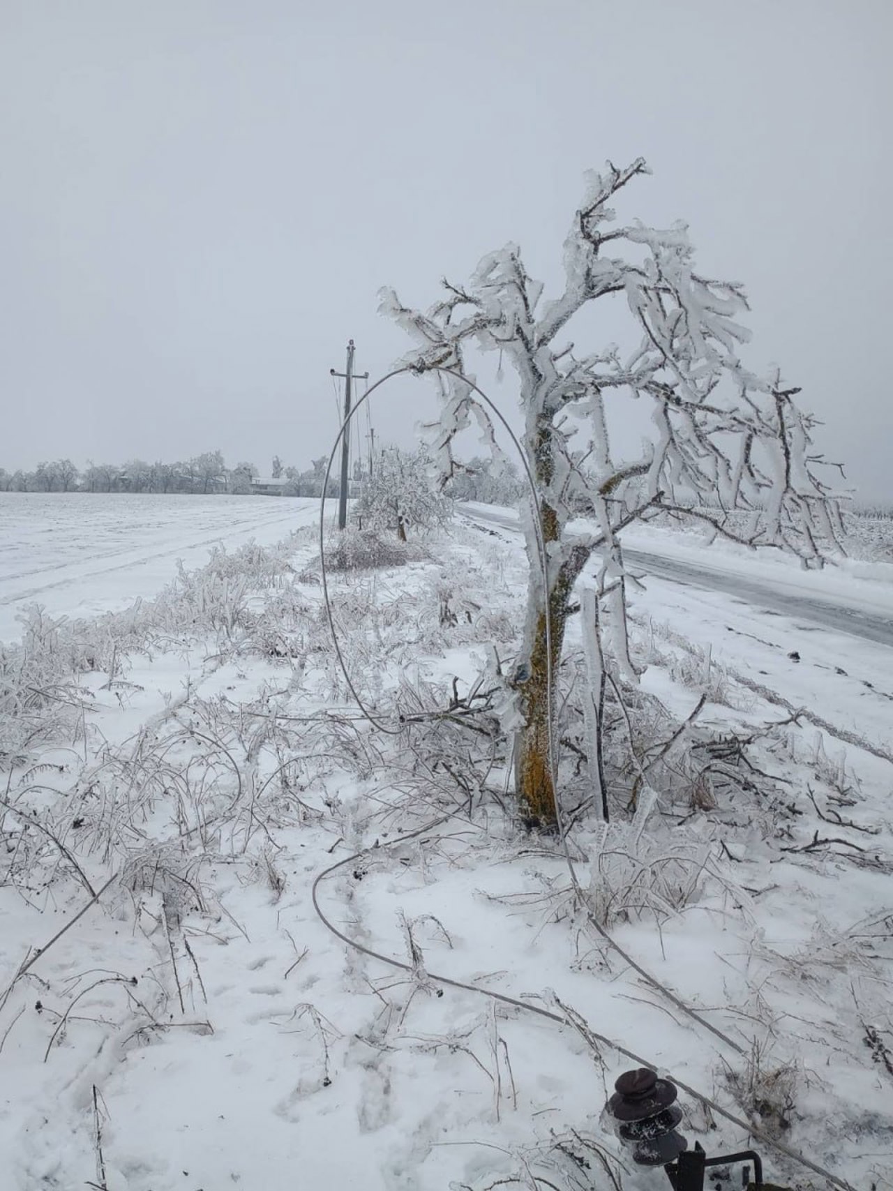 Минэнергетики: Из-за непогоды без света остались около 1,6 тысячи потребителей